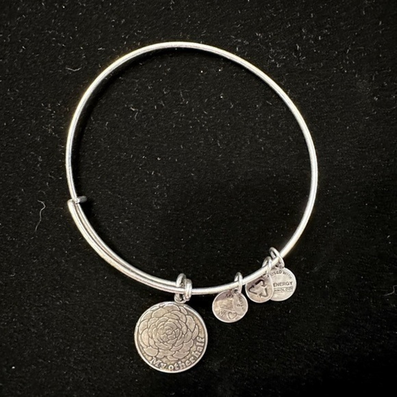 Alex and Ani - My Other Half - Wire Bracelet - Picture 1 of 2